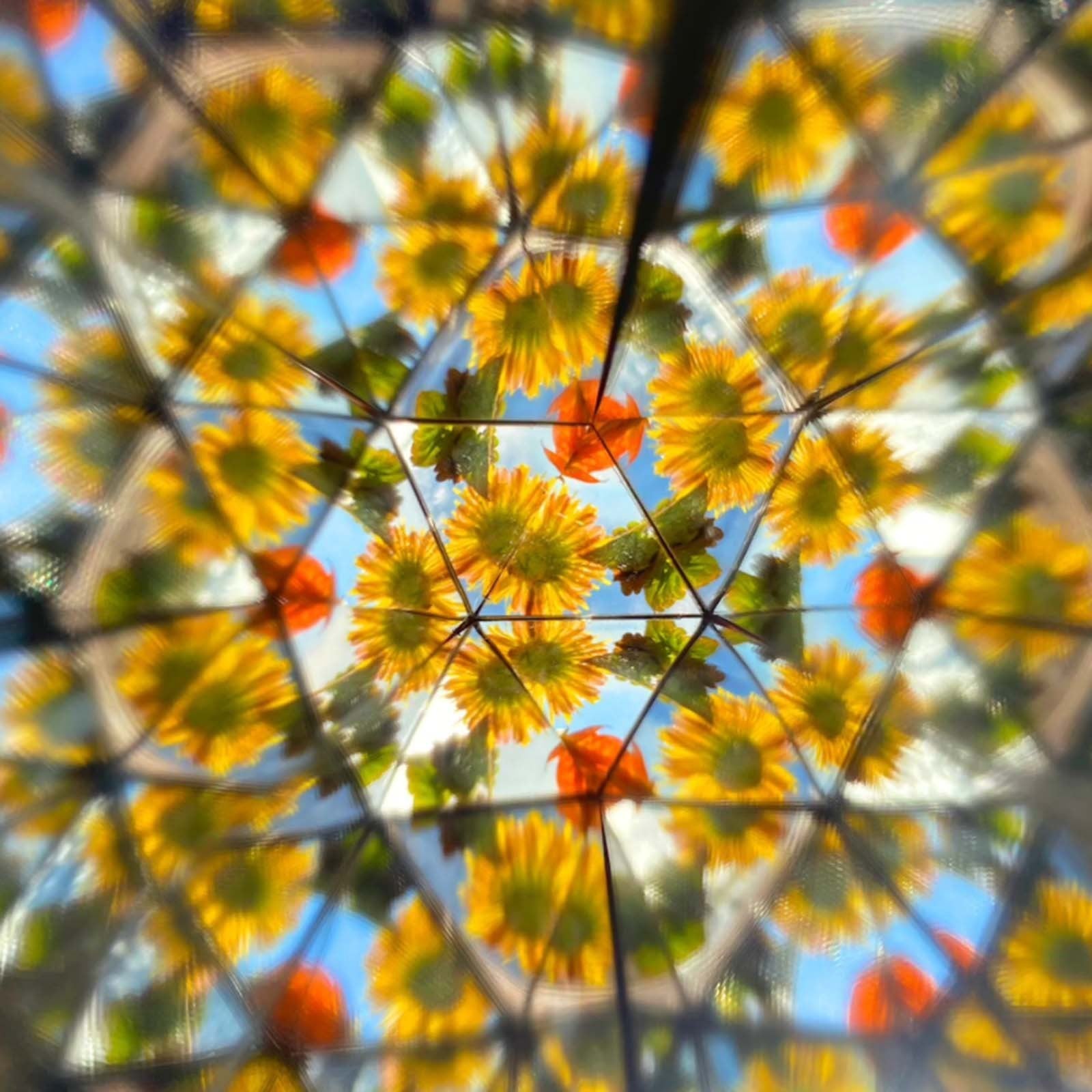 Educational Toys Toddler Toys